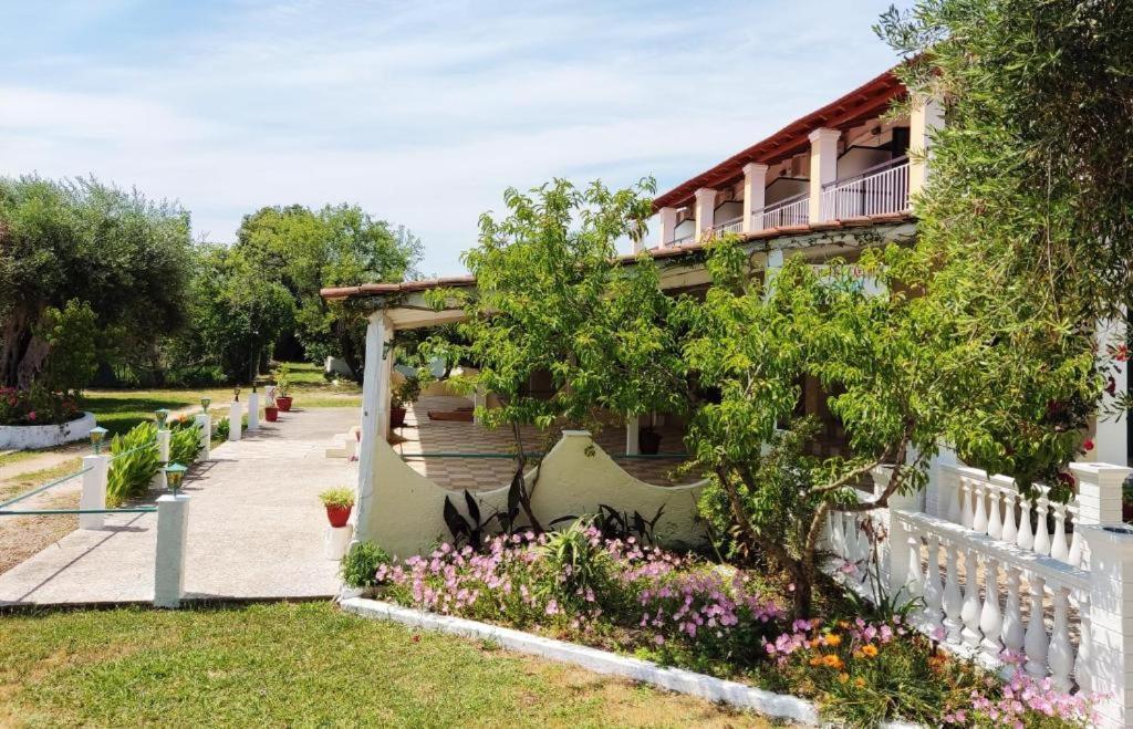 Apartment Firefly Panayiota 15